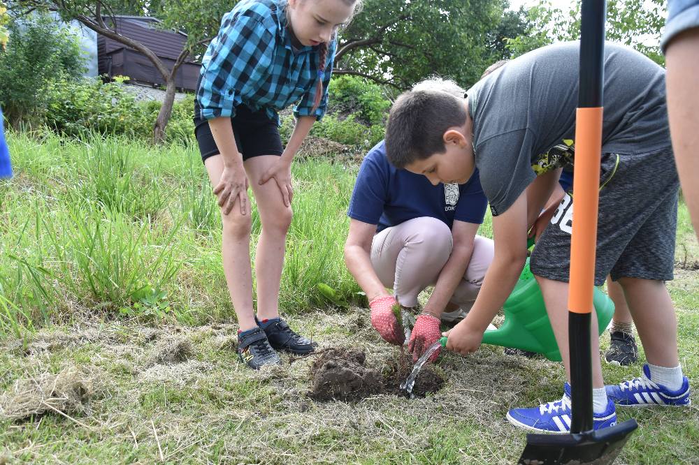 Zielono mi... EkoWakacje z Domem Kultury 2025